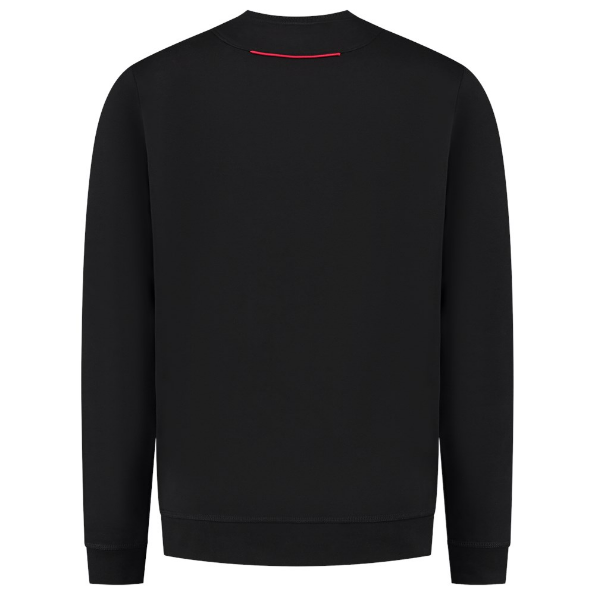 Afbeelding - https-www-ez-catalog-nl-Asset-e5713ac290ad453986ff5362f253742b-ImageFullSize-302703blackredback-jpg